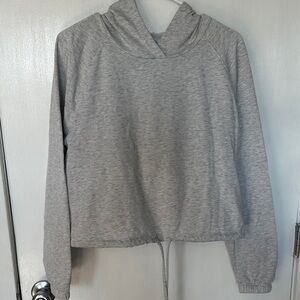 DSG Light Gray Hoodie